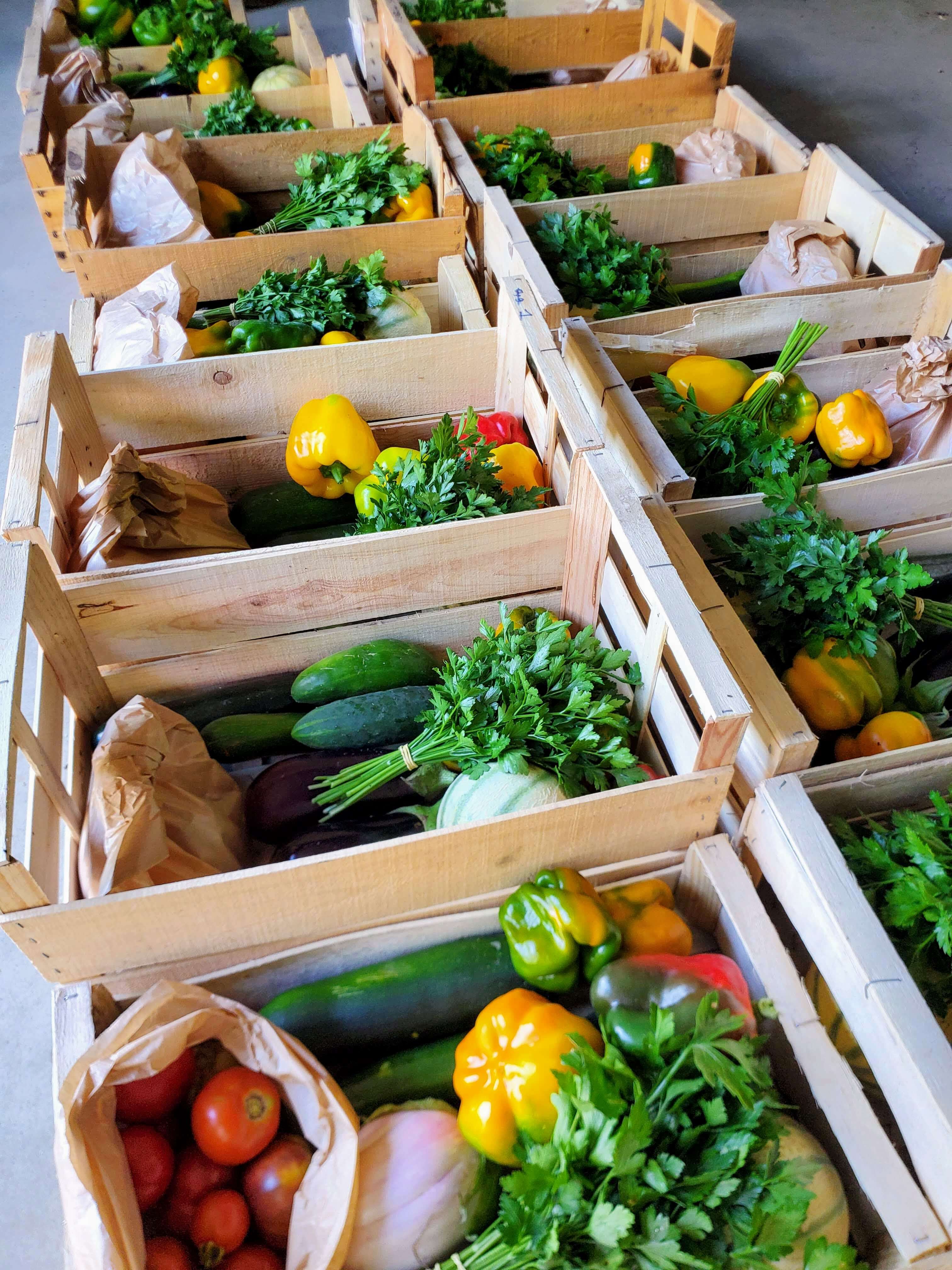 paneirs de légumes bio